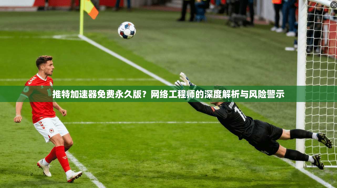 推特加速器免费永久版？网络工程师的深度解析与风险警示