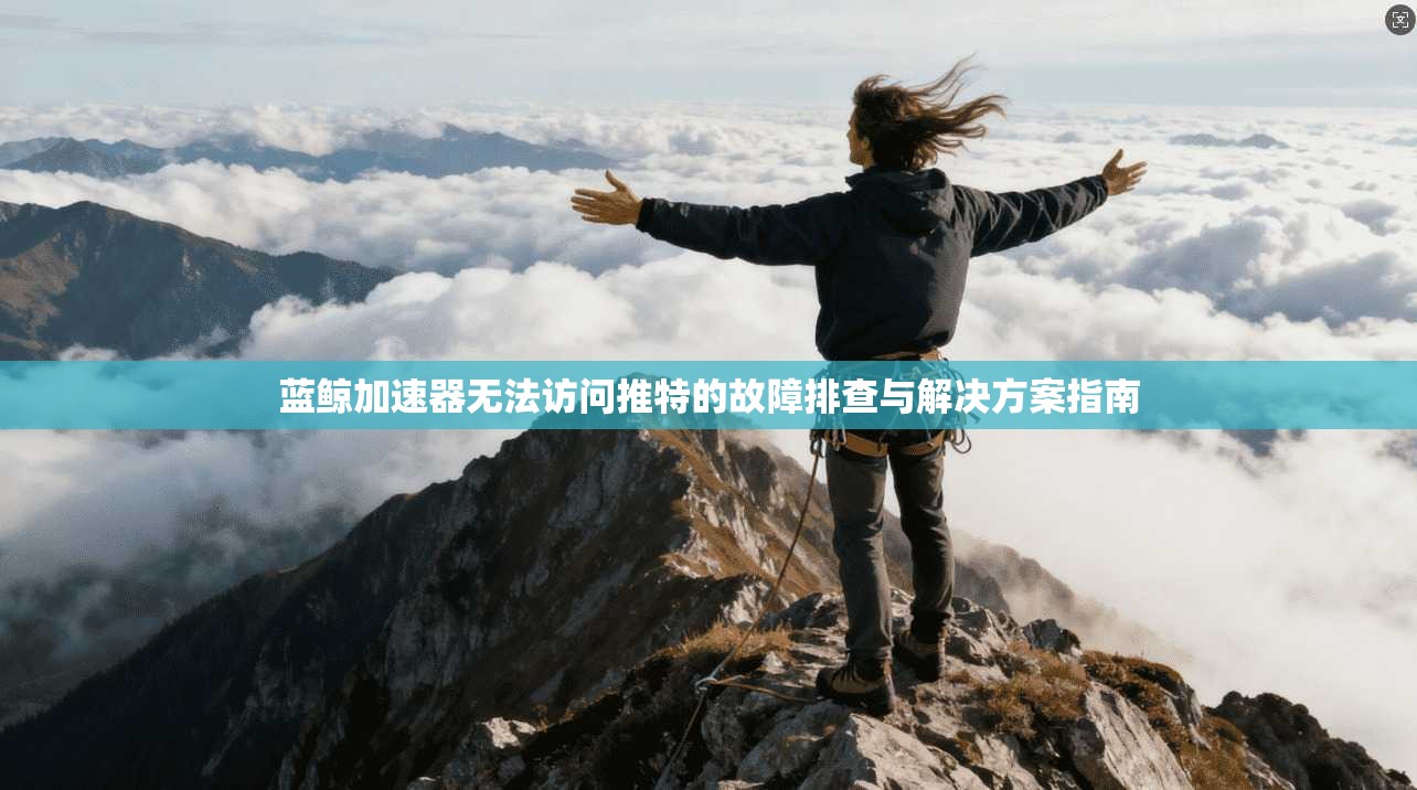 蓝鲸加速器无法访问推特的故障排查与解决方案指南