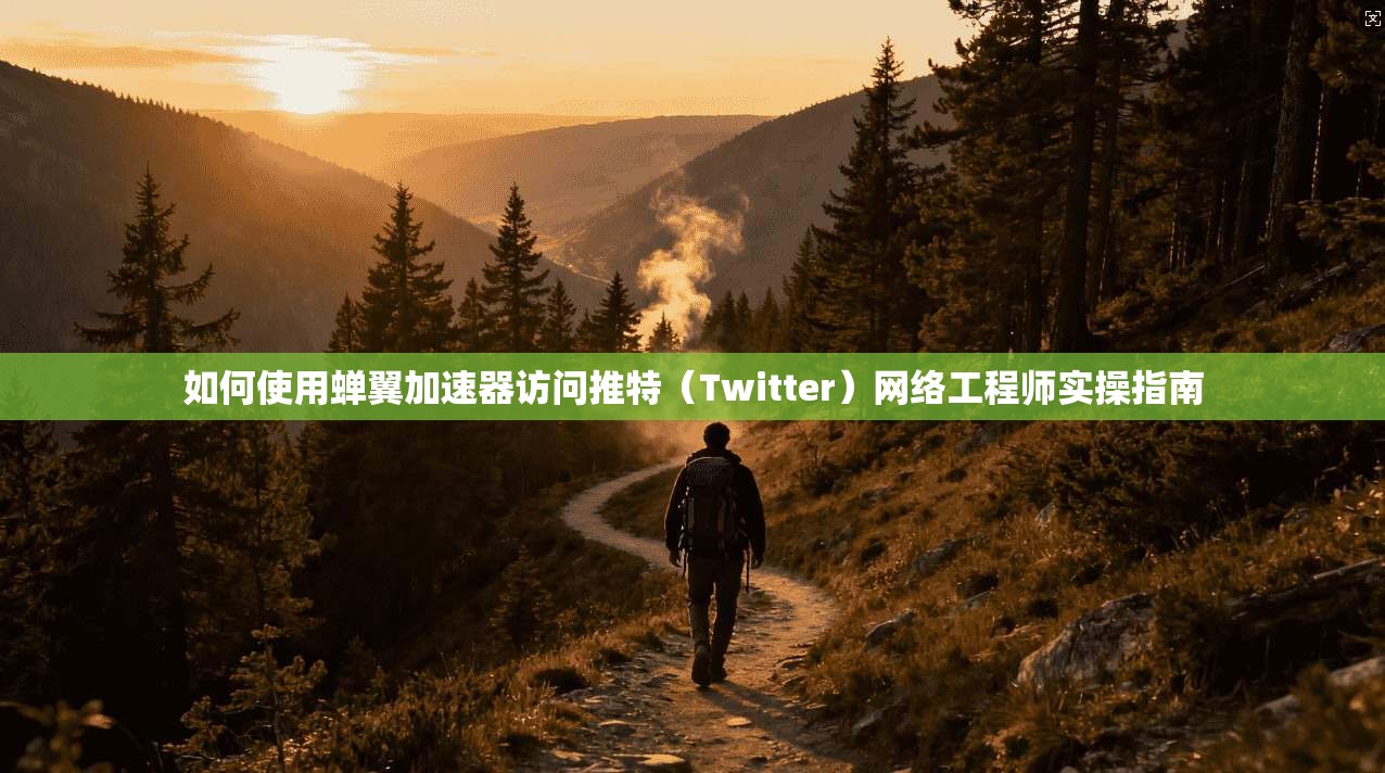 如何使用蝉翼加速器访问推特（Twitter）网络工程师实操指南