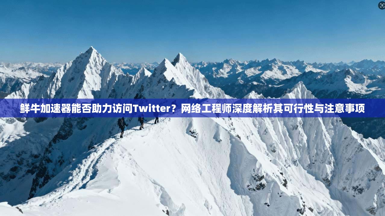 鲜牛加速器能否助力访问Twitter？网络工程师深度解析其可行性与注意事项