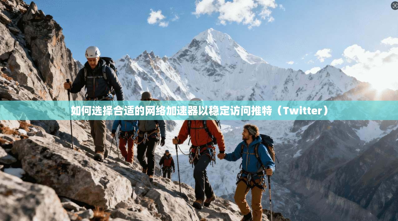 如何选择合适的网络加速器以稳定访问推特（Twitter）