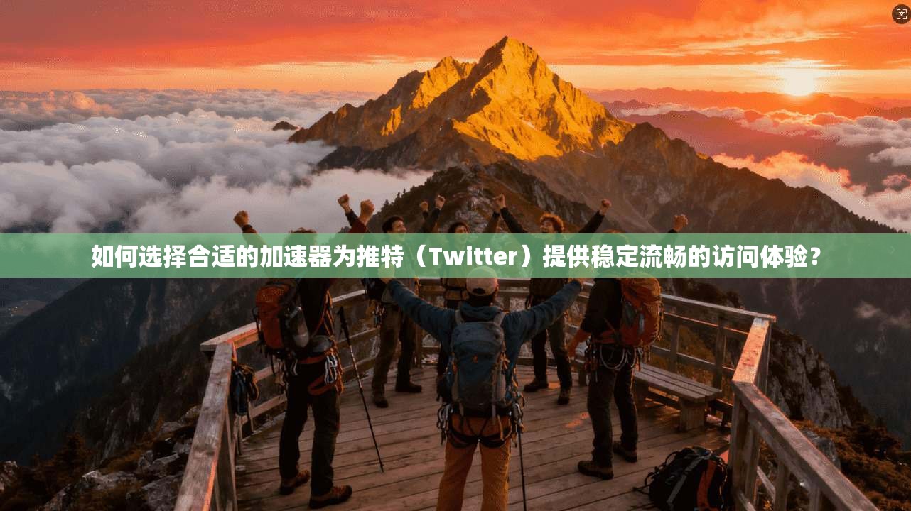 如何选择合适的加速器为推特（Twitter）提供稳定流畅的访问体验？