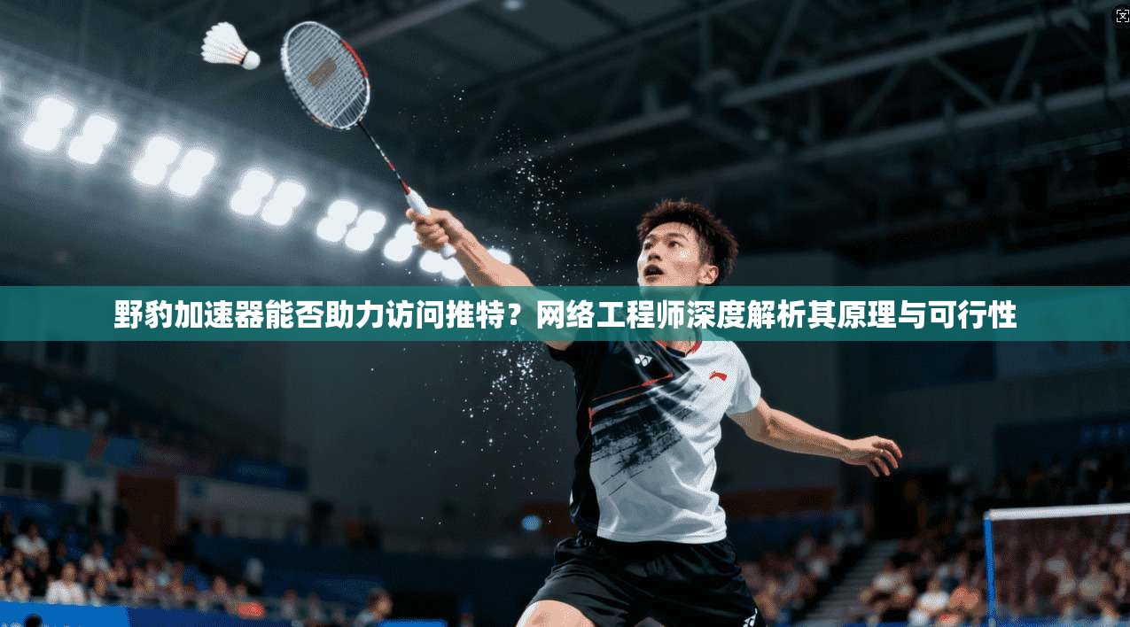 野豹加速器能否助力访问推特？网络工程师深度解析其原理与可行性
