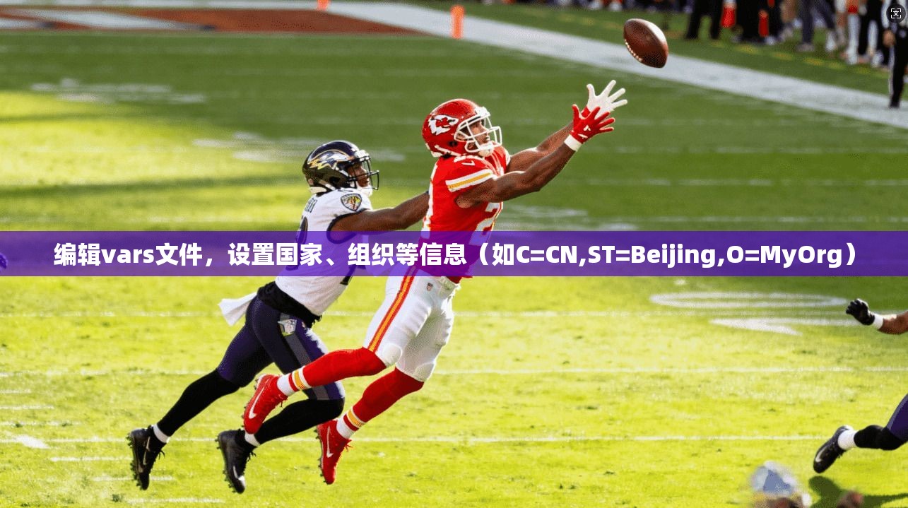 编辑vars文件，设置国家、组织等信息（如C=CN,ST=Beijing,O=MyOrg）